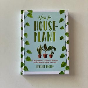 How to house-plant