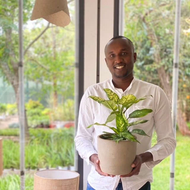 Elvis from Kuzi holding a dieffenbachia houseplant (Plants for sale, Nairobi, Kenya)